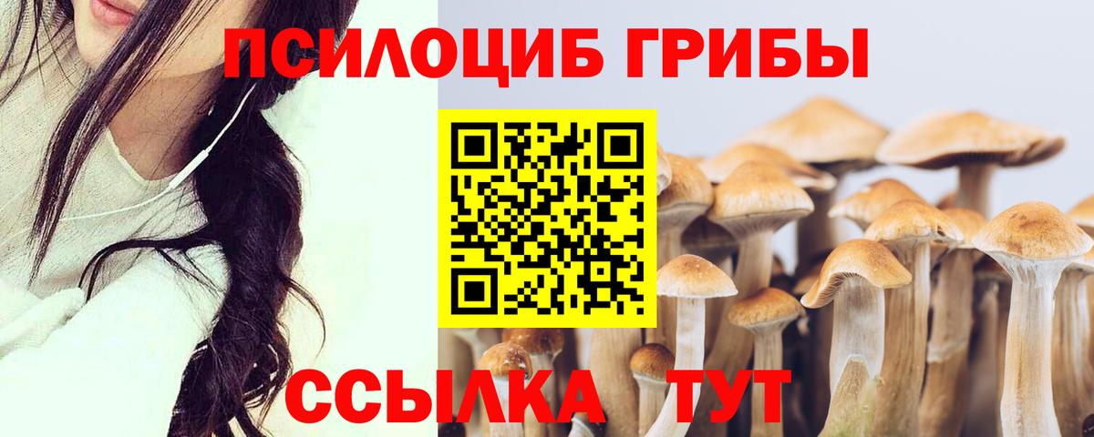 Галлюциногенные грибы MAGIC MUSHROOMS Новочебоксарск